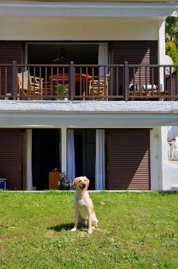 Carolina Beach House By Halu! Kalandra